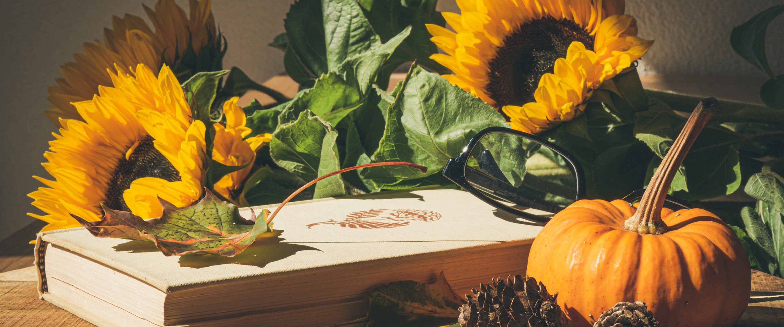book on table surrounded by sunflowers and small pumpkin